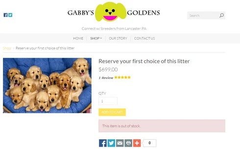 For sale on GoDaddy parody site — Puppy dogs