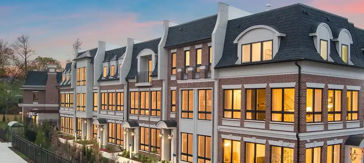 Developer tries reverse domain name hijacking — Real estate