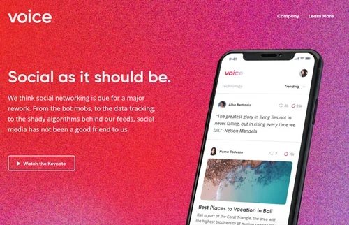 Voice.com domain name sells for staggering $30 million: Record breaker