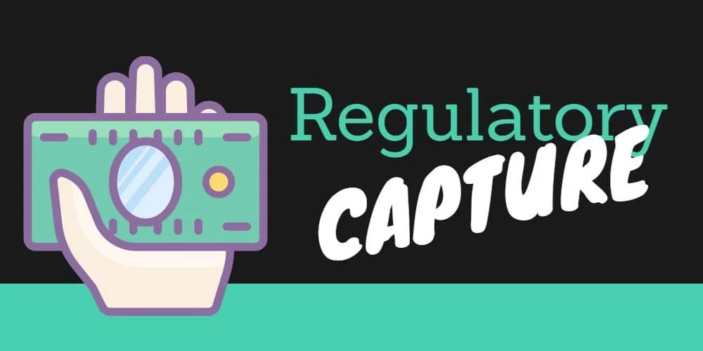 Regulatory Capture at ICANN