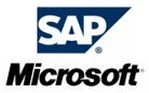 Microsoft Lose Domain Name Case — SAP and