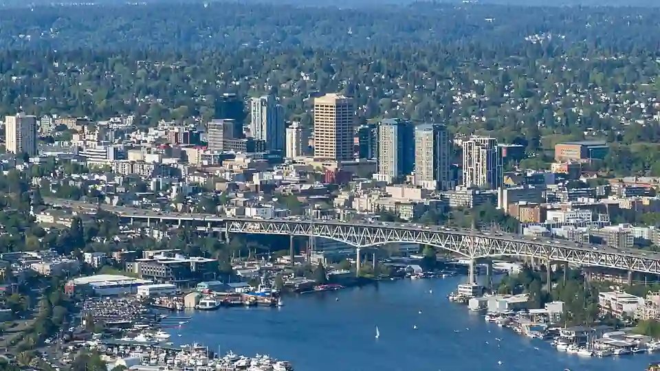 Tries to hijack U District domain name — Seattle nonprofit