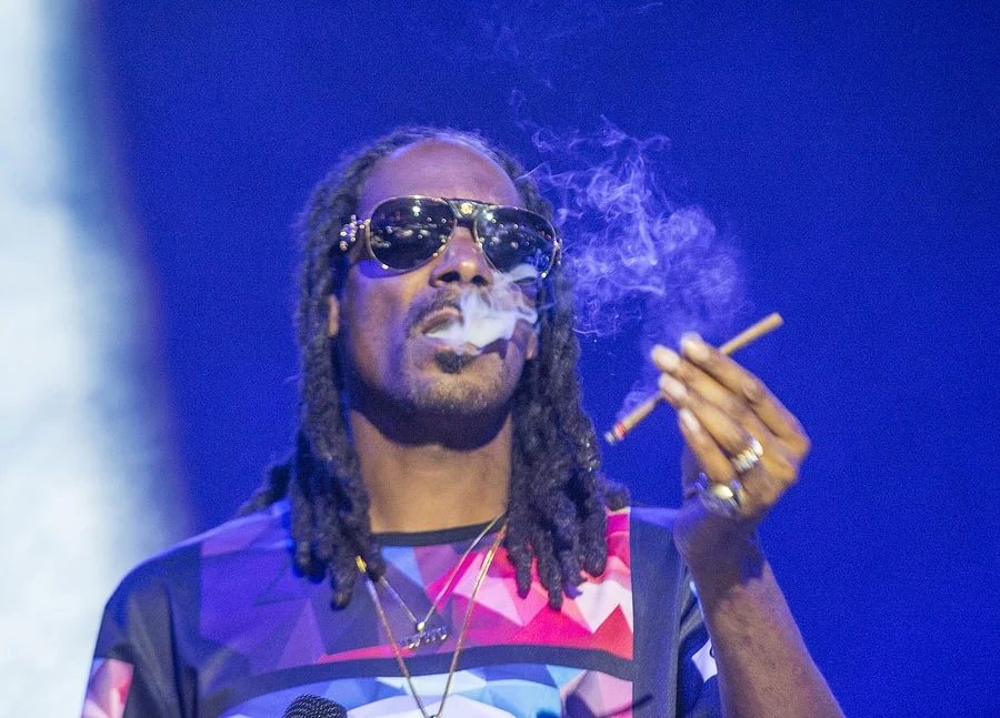 Is on a roll, winning more domain names — Snoop Dogg