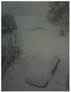 berryhill-snow2