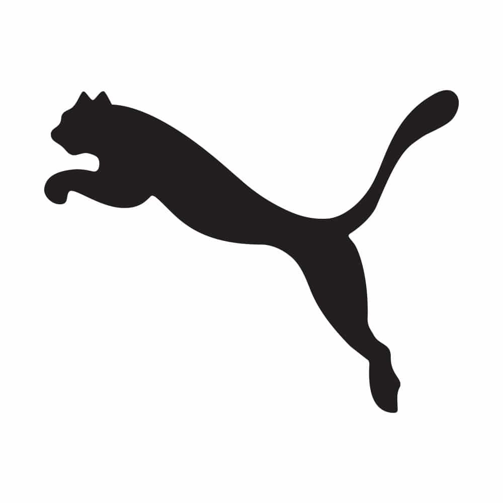 Sportswear firm Puma tries reverse domain name hijacking