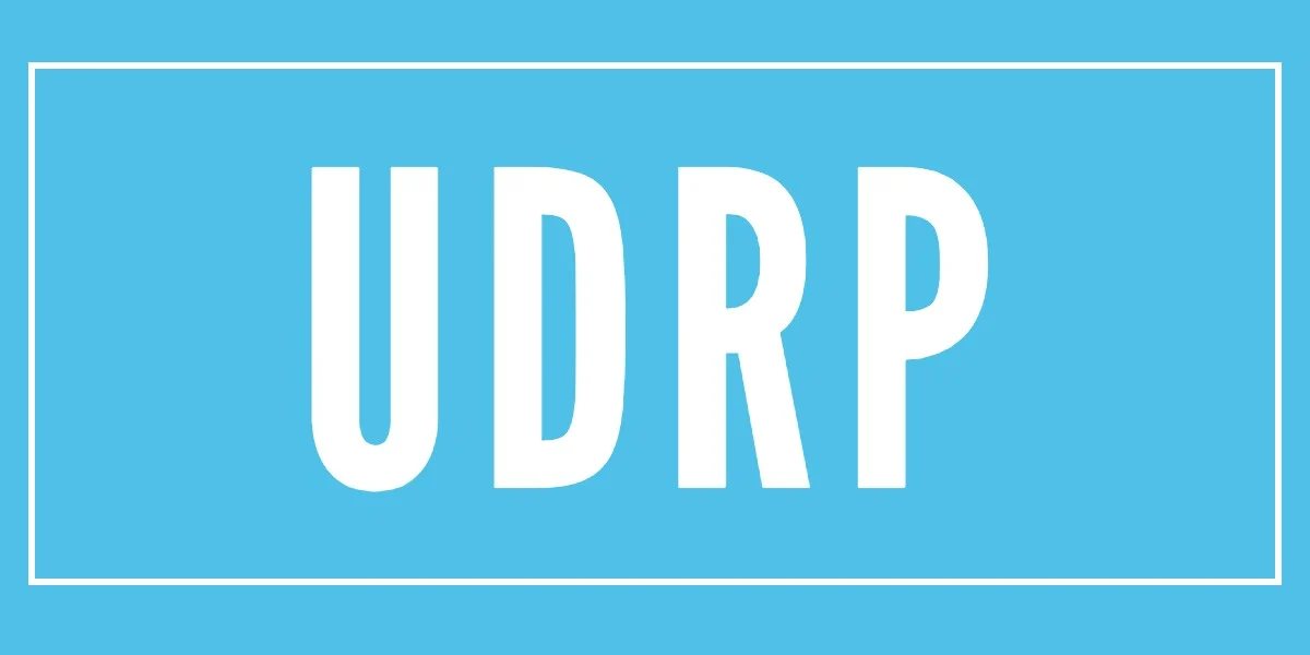 This UDRP troubles me