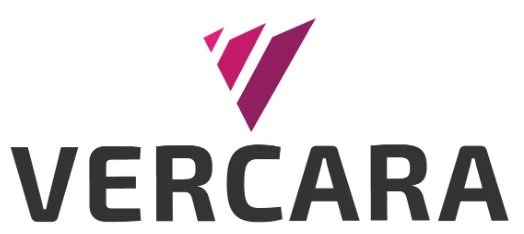 UltraDNS TLD for top level domain nameservers — Vercara launches