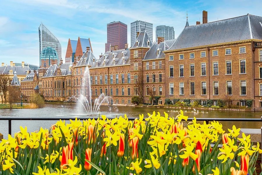 Watch for at ICANN 74 — What to