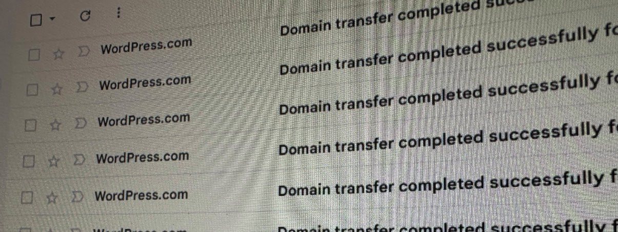 44,000 domains from Google Domains (so far) — WordPress gains