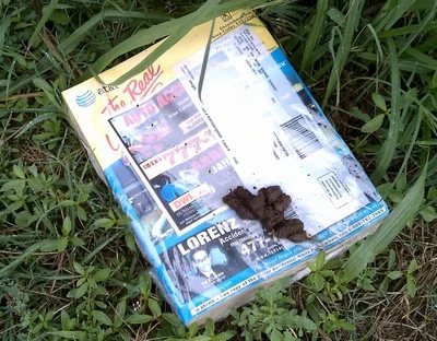 Yellow Pages Fail