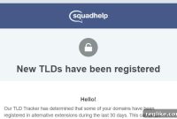 Squadhelp: The Domain Investor’s Advantage