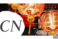 Unlocking the Power of Single-Letter .cn Domains