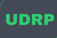 Luma.com Victorious in Cybersquatting Case