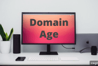 Integrating Domain Age Information into Web Browsers