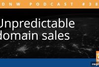 Cracking the Unpredictable Domain Market