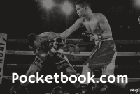 Pocketbook.com Owner Acquires Ebook Reader Company