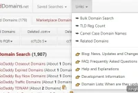Viewing Domain Portfolio Statistics on ExpiredDomains.net