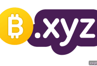 Bitcoin.xyz Auction: How High Can It Soar?