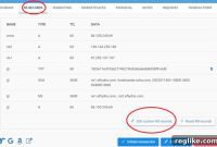 Streamline Domain Verification with Efty Bulk DNS Management