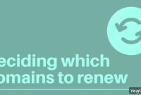 My $8,692.71 Domain Renewal Bill: How I Trimmed the Fat