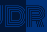 A Critical Look at This UDRP