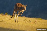 auDA Surpasses 700,000 Second-Level Domain Registrations