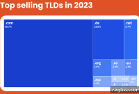 Intriguing Insights from the Global Domain Aftermarket