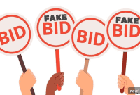 Domain Auction Manipulation: Strategies for a Secure Marketplace