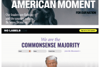 No Labels Party Fights Cybersquatting