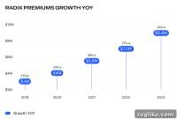 Radix Generates 4.8 Million from Premium Domain Sales in H2 2023