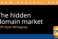 Uncovering the Invisible Domain Market