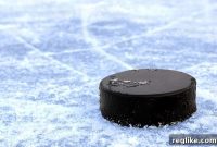 NHL’s Digital Footprint Only 9 Teams Own Their .com