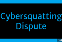How Mike Mann Secured His Cybersquatting Victory