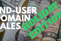 Holiday Season Highlights: 20 End-User Domain Name Sales