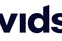 Vivid Seats Unveils $17.3 Million Domain Name Investment