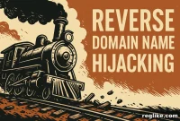 Cybersquatting Accusation Backfires, Deemed Reverse Domain Name Hijacking