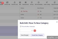 Export NameBright Authorization Codes in Volume