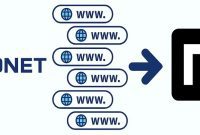 Hexonet Users: Secure Your Domains From Moniker Now