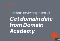 Unlocking Domain Insights with Domain Academy