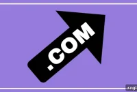 Unpacking the .com Renaissance: 4 Key Growth Drivers