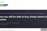 Namecheap’s Nemesis Loses Another Cybersquatting Battle