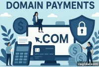 Emerging Contenders in the Low-Cost Domain Payment Arena