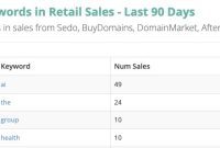 Mastering the Domain Aftermarket with NameBio Insights