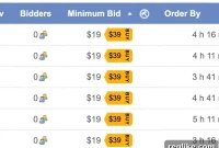 SnapNames & NameJet Introduce ‘Bid or Buy’ for Second-Chance Domains