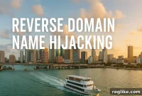 Panelist Finds Cruise Company Guilty of Reverse Domain Name Hijacking