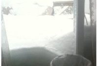 Snowfall Ices Domainer Mardi Gras Revelry