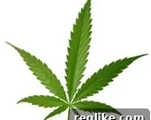 Altria Rebuffed in Cannabis Domain Name Row