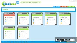 DomainScour Alpha: Instant Domain Insights Unleashed 2 Domainscour.com Features Overview