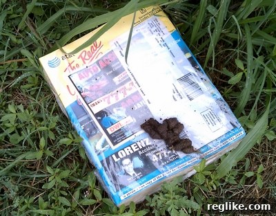 Dog's Verdict on Phone Books Dog with a torn phone book, symbolizing its obsolescence.