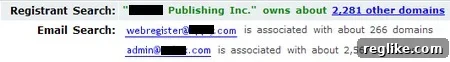 DomainTools Registrant Search tool for analyzing domain ownership patterns and portfolio sizes.